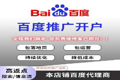 成功案例：网络推广与竞价广告的完美结合